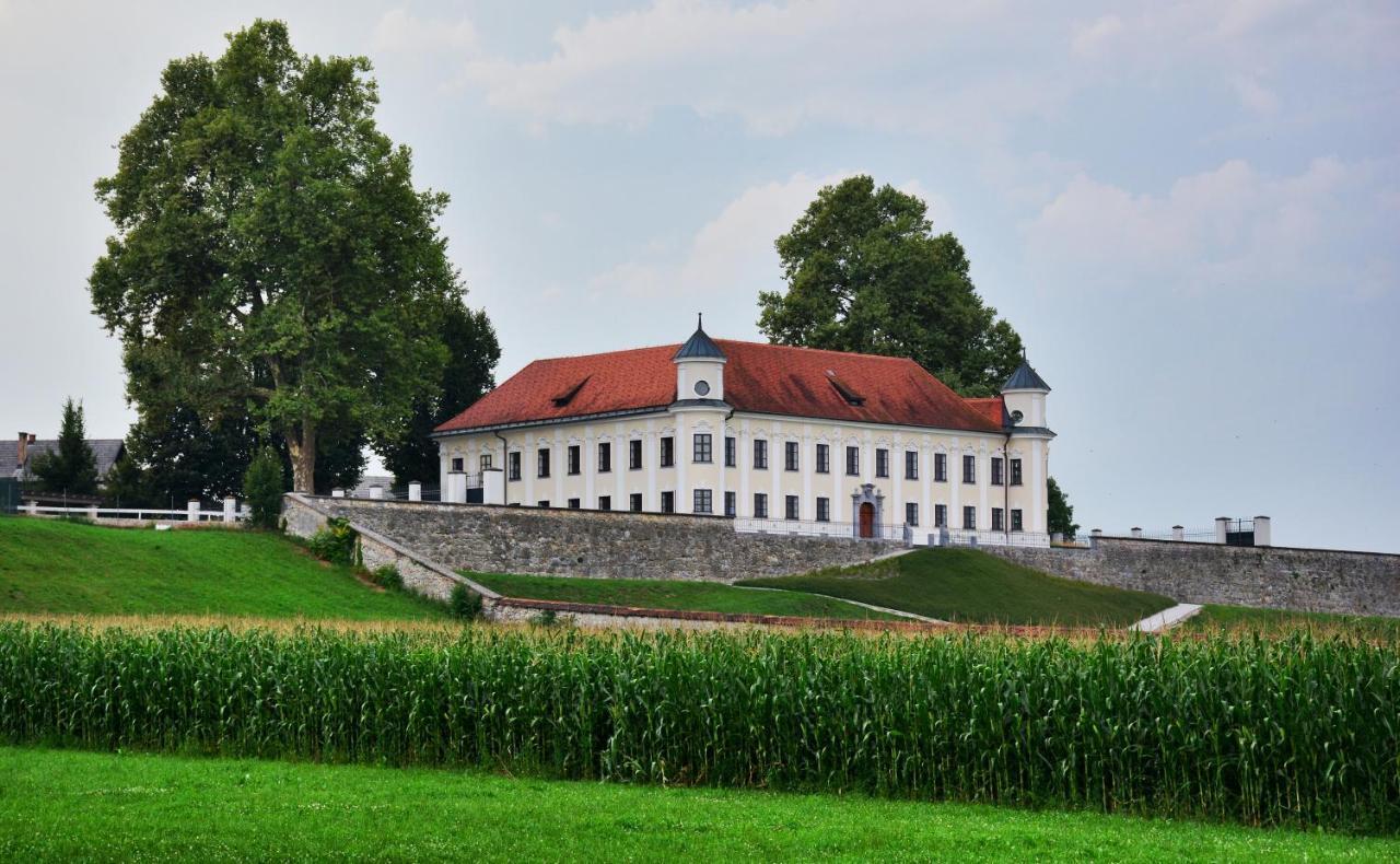 Hotel Baron Smlednik Luaran gambar